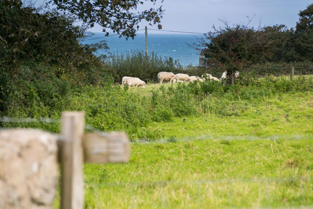 Tyn Lon Villa Moelfre Luaran gambar